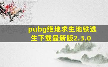 pubg绝地求生地铁逃生下载最新版2.3.0