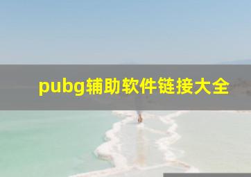 pubg辅助软件链接大全