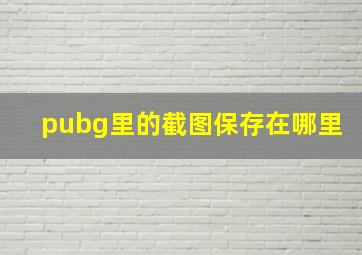 pubg里的截图保存在哪里