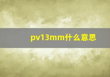 pv13mm什么意思