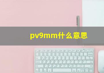 pv9mm什么意思