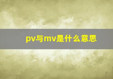 pv与mv是什么意思