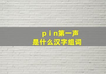 pⅰn第一声是什么汉字组词