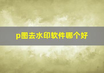 p图去水印软件哪个好