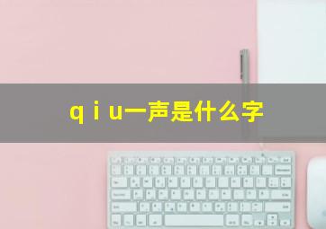 qⅰu一声是什么字