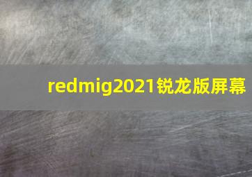 redmig2021锐龙版屏幕