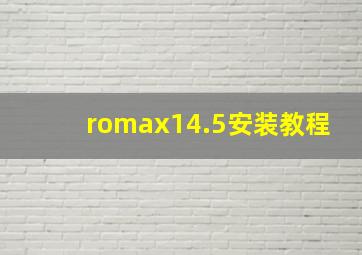 romax14.5安装教程