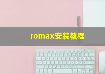 romax安装教程