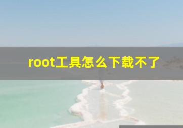 root工具怎么下载不了