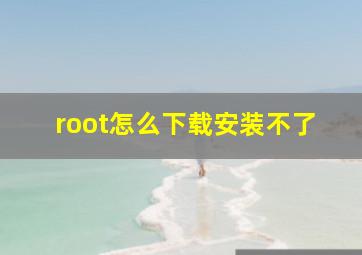 root怎么下载安装不了