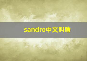 sandro中文叫啥