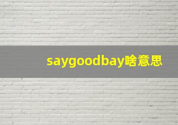 saygoodbay啥意思