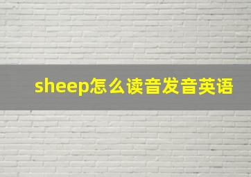 sheep怎么读音发音英语