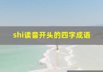 shi读音开头的四字成语