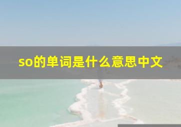 so的单词是什么意思中文