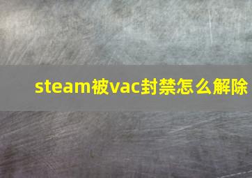 steam被vac封禁怎么解除