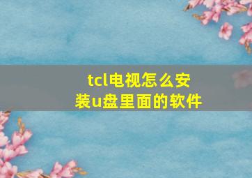 tcl电视怎么安装u盘里面的软件