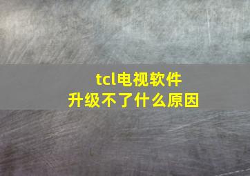 tcl电视软件升级不了什么原因