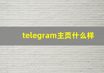 telegram主页什么样