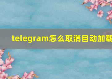 telegram怎么取消自动加载