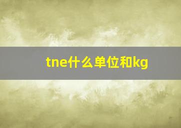 tne什么单位和kg