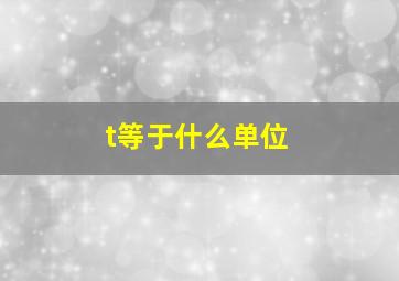 t等于什么单位