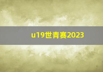 u19世青赛2023