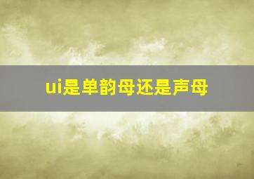 ui是单韵母还是声母