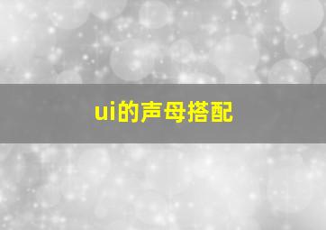 ui的声母搭配