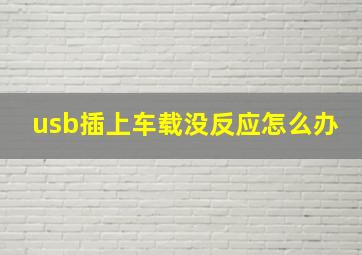 usb插上车载没反应怎么办