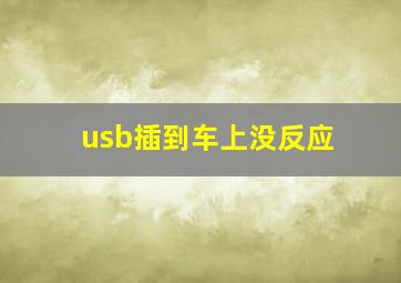 usb插到车上没反应