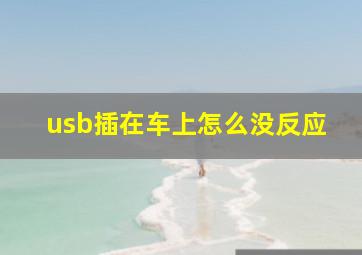 usb插在车上怎么没反应