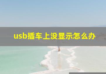 usb插车上没显示怎么办