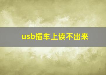 usb插车上读不出来