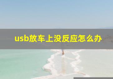 usb放车上没反应怎么办