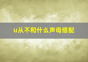 u从不和什么声母搭配