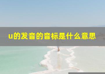 u的发音的音标是什么意思