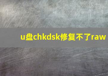 u盘chkdsk修复不了raw