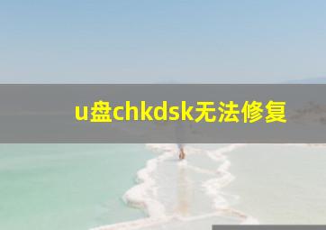 u盘chkdsk无法修复