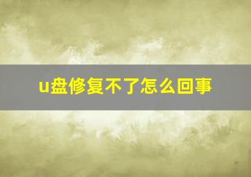 u盘修复不了怎么回事