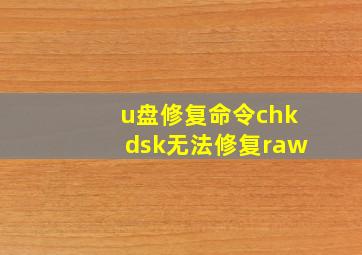 u盘修复命令chkdsk无法修复raw