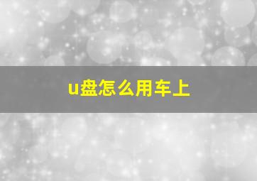 u盘怎么用车上