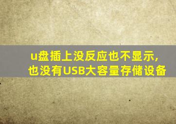 u盘插上没反应也不显示,也没有USB大容量存储设备