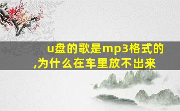 u盘的歌是mp3格式的,为什么在车里放不出来