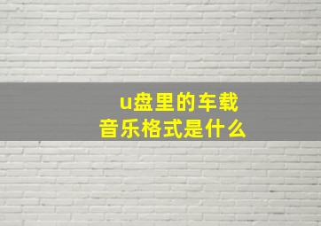 u盘里的车载音乐格式是什么