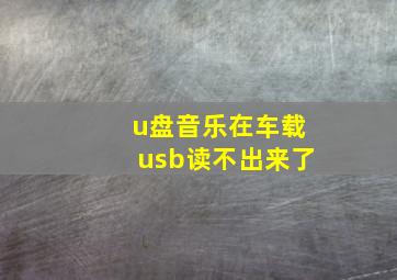 u盘音乐在车载usb读不出来了