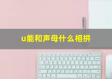 u能和声母什么相拼