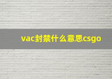 vac封禁什么意思csgo