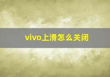 vivo上滑怎么关闭