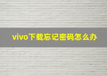 vivo下载忘记密码怎么办